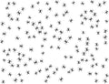 Ant Decal