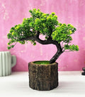Artificial Bonsai Tree Wooden Pot Design
