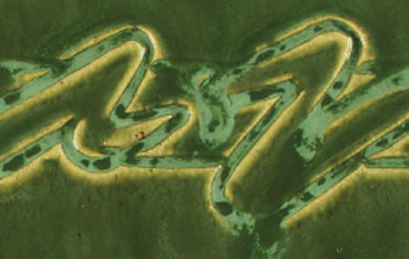 PC-41  Vert Lustre Pint