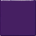 TP-51 GRAPE PT